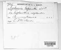 Image Associated With the Occurence